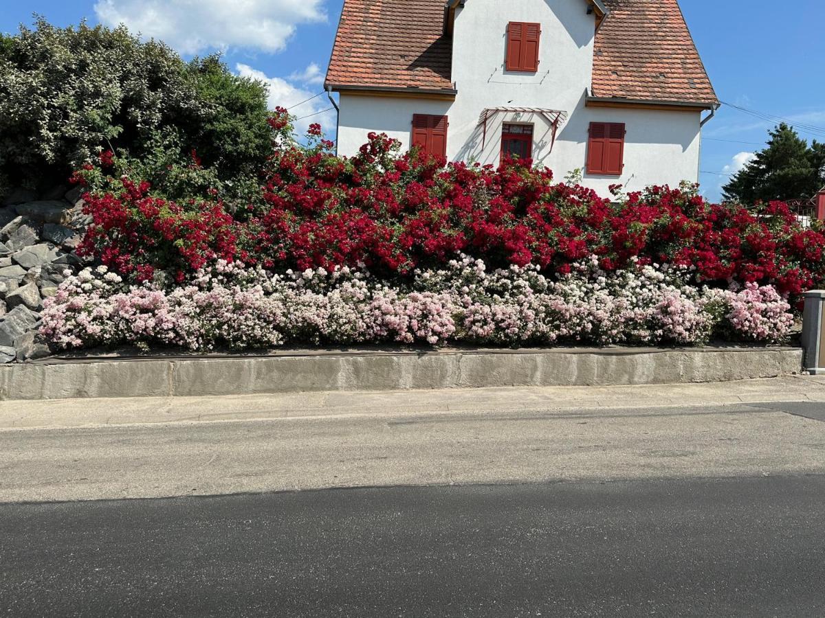Appartamento Au Parfum Des Roses Gunstett Esterno foto