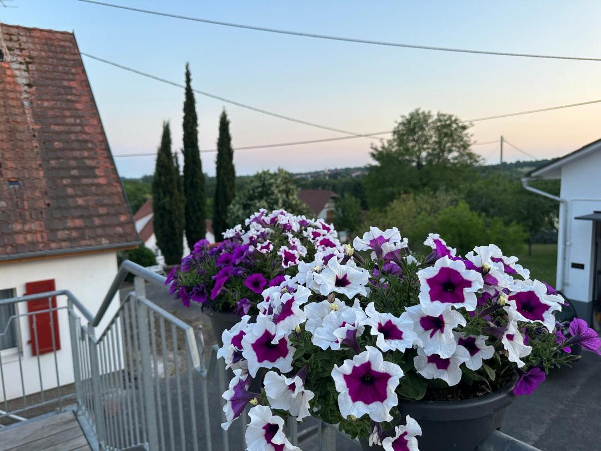 Appartamento Au Parfum Des Roses Gunstett Esterno foto