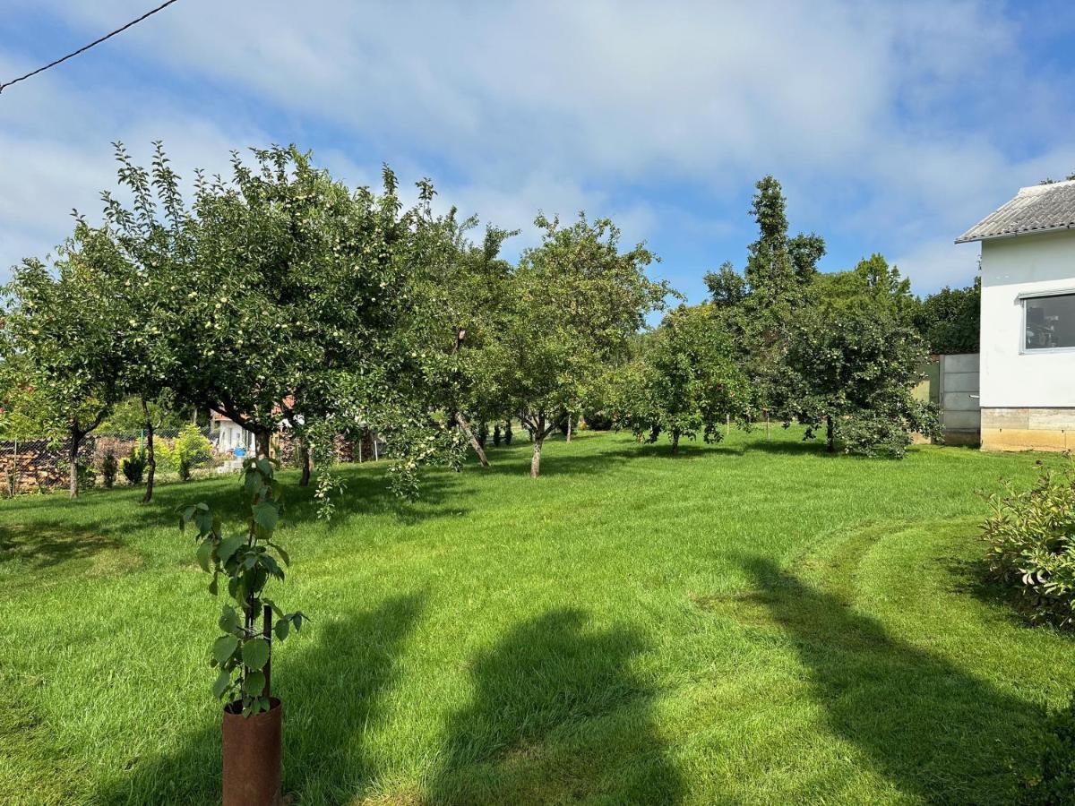 Appartamento Au Parfum Des Roses Gunstett Esterno foto